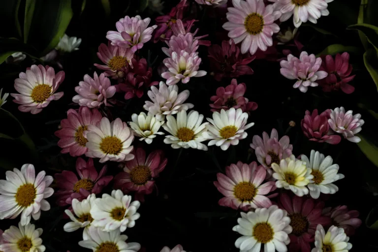 Longwood Gardens 2023